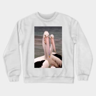 A Pair of Pelicans Crewneck Sweatshirt